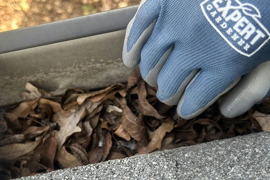 Gutter Cleaning Southport NC