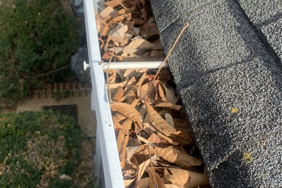 Gutter Cleaning Southport NC